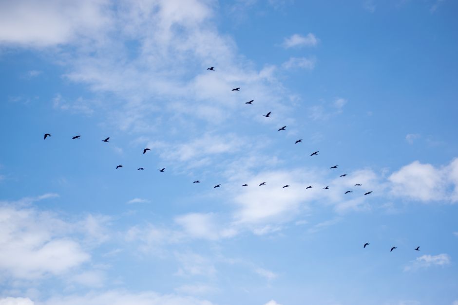 Workday Release Schedule 2025: Key Dates and Features