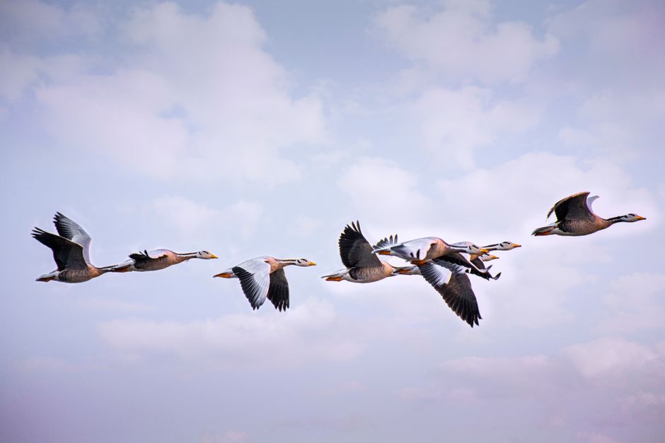 Workday Testing Automation for Enterprise Stability